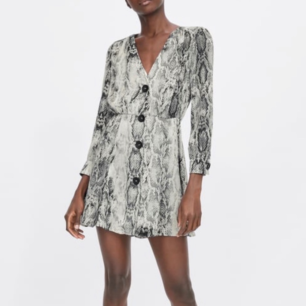 Zara snake skin dress